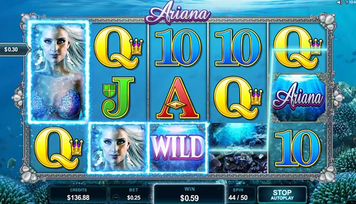 Ariana slot machine winnings.