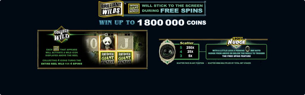 Giant Panda game bonuses.