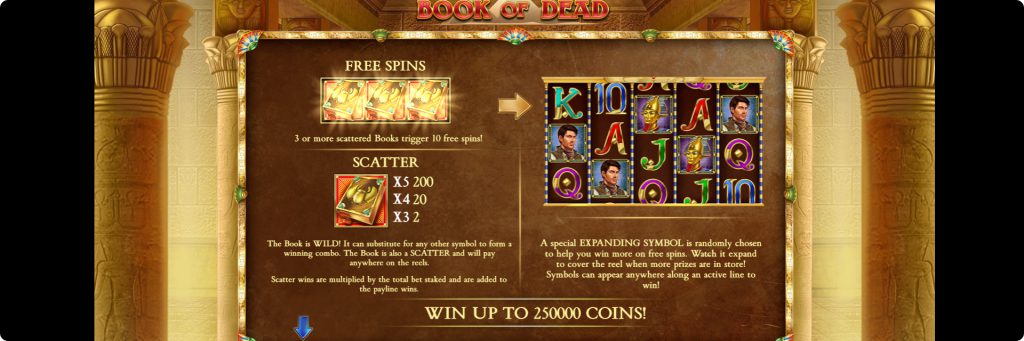 play book of dead slot free