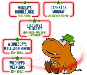 Lucky Hippo casino bonuses.