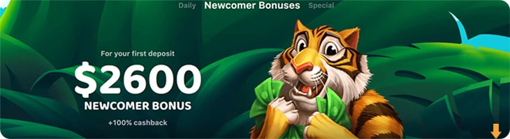 Lucky Tiger casino bonuses.