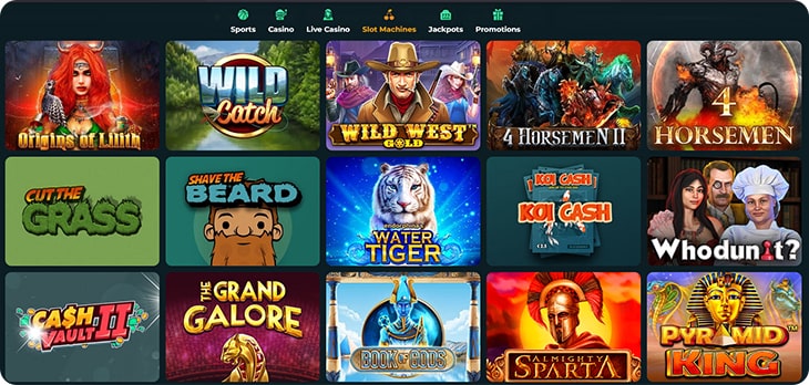 Roku casino slot machines.